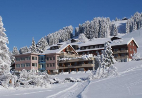 Гостиница Ferien- und Familienhotel Alpina Adelboden, Адельбоден